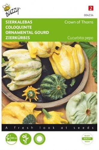 Cucurbita pepo, Okrasené tekvice Crowns of Thorns cca 1,5 g